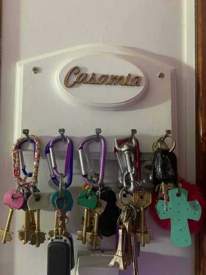 Casamia Mansarda Pb Con Patio Y Parrilla Apartment Bahía Blanca Екстериор снимка